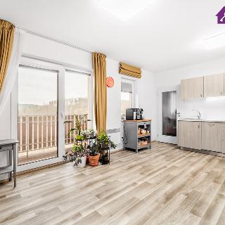 Pronájem bytu 2+kk 42 m² Letovice, 