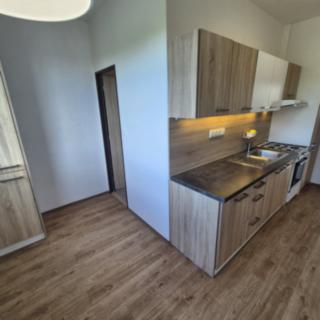 Pronájem bytu 2+1 58 m² Liberec, Na Pískovně