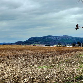 Prodej zemědělské půdy 140 145 m² Mnichovo Hradiště