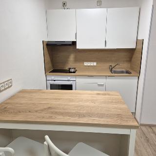 Pronájem bytu 2+kk 43 m² Liberec, Holubova