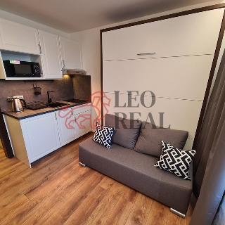 Pronájem bytu 1+kk a garsoniéry 17 m² Praha, Suchdolské náměstí