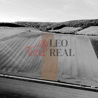 Prodej stavební parcely 4700 m&sup2; Snovídky