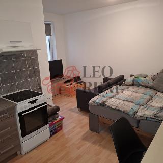 Pronájem bytu 1+kk a garsoniéry 61 m² Nový Bor, Mařákova