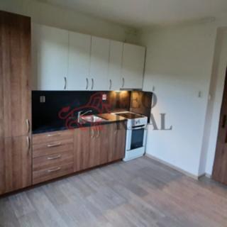 Pronájem bytu 2+1 48 m² Mostek