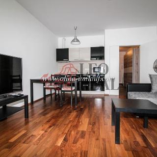 Prodej bytu 1+kk a garsoniéry 45 m² Praha, Švédská