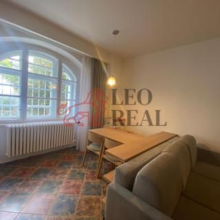 Pronájem bytu 1+1 53 m² Praha