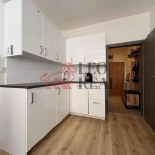 Pronájem bytu 1+1 45 m² Praha