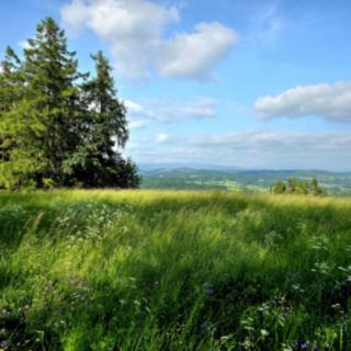 Prodej louky 10451 m&sup2; Vlastiboř