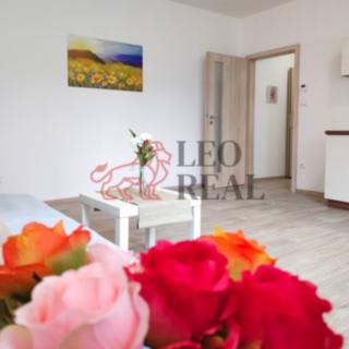 Pronájem bytu 1+kk, garsoniery 29 m² Příbor