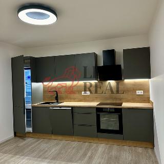 Pronájem bytu 2+kk 56 m² Karlovy Vary, Sedlecká