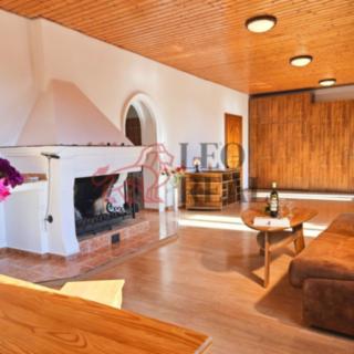 Pronájem bytu 1+1 60 m² Odry