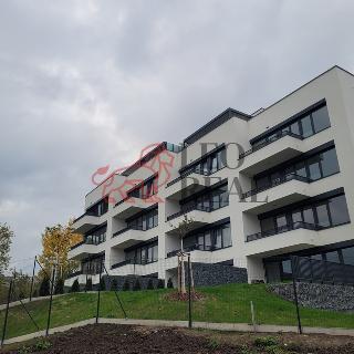 Pronájem bytu 2+kk 60 m² Praha, Hasilova