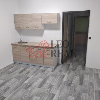 Pronájem bytu 1+kk a garsoniéry 24 m² Lánov