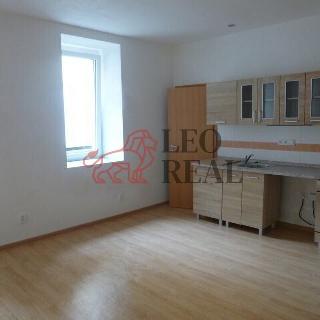 Pronájem bytu 1+kk a garsoniéry 18 m² Děčín, 