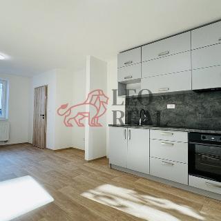 Pronájem bytu 1+1 31 m² Uherské Hradiště, Kollárova