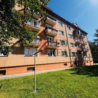 Prodej bytu 2+1 71 m² Ostrov, Májová