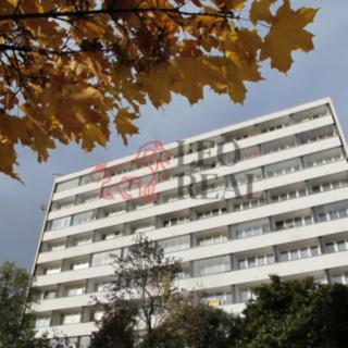 Pronájem bytu 1+kk a garsoniéry 38 m² Mladá Boleslav III, Jičínská