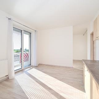 Pronájem bytu 1+kk, garsoniery 41 m² Říčany