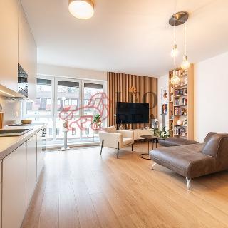 Prodej bytu 2+kk 65 m² Praha, Mezilehlá