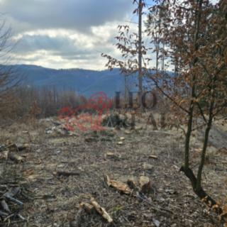 Prodej lesa 1 023 m² Vsetín, 