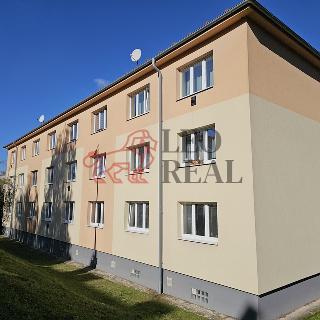 Prodej bytu 3+1 55 m² Teplice, U nemocnice