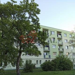 Prodej bytu 1+1 36 m² Teplice, Denisova