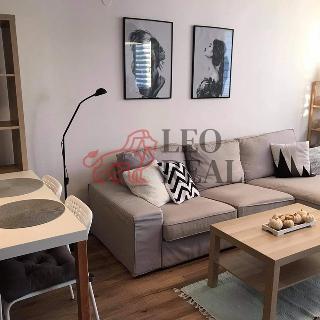 Prodej bytu 2+kk 53 m² Mladá Boleslav