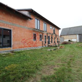 Prodej zemědělské usedlosti 350 m² Račice