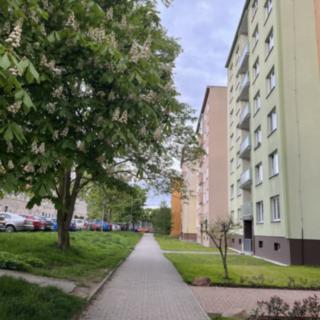 Prodej bytu 3+1 76 m² Karlovy Vary