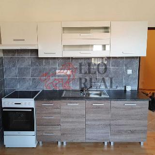 Pronájem bytu 3+kk 75 m² Kamenický Šenov, Havlíčkova