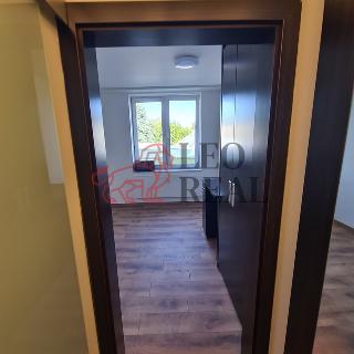 Pronájem bytu 1+kk a garsoniéry 17 m² Praha, Suchdolské náměstí