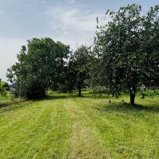 Prodej stavební parcely 1 294 m² Bulhary