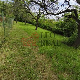 Prodej zahrady 595 m&sup2; Slavkov u Brna