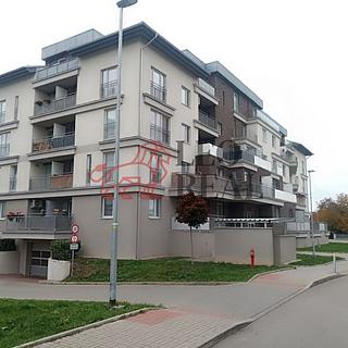 Pronájem skladu 3 m² Pardubice