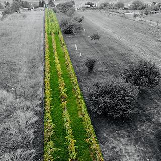 Prodej ostatních pozemků 1237 m&sup2; Týnec