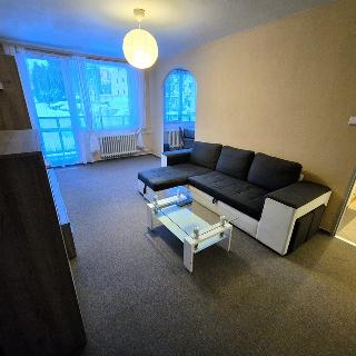 Pronájem bytu 2+1 55 m² Liberec, Tovární