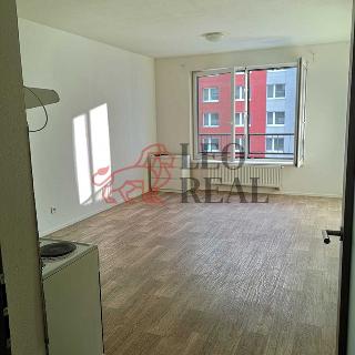 Pronájem bytu 1+kk a garsoniéry 40 m² Brno, Turgeněvova