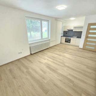 Pronájem bytu 1+kk a garsoniéry 34 m² Svitávka, Školní