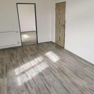 Pronájem bytu 2+1 53 m² Děčín, Benešovská