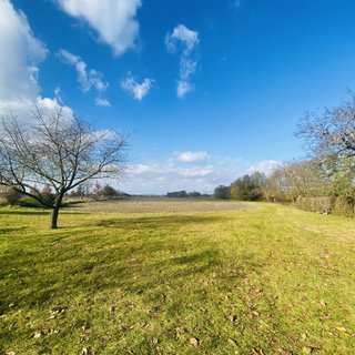 Prodej komerčního pozemku 1 970 m² Lanžhot, Masarykova