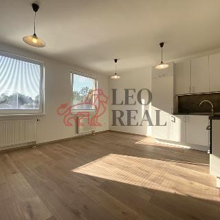 Pronájem bytu 1+kk a garsoniéry 36 m² Praha