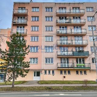 Pronájem bytu 3+1 65 m² České Budějovice, Lidická tř.