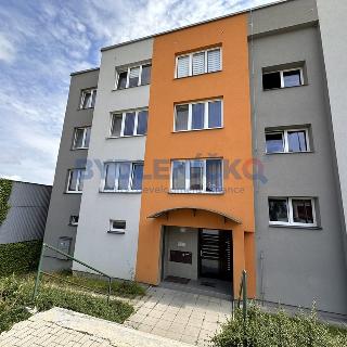 Pronájem bytu 3+1 76 m² Ledenice, Na Oborách