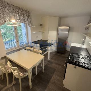 Pronájem bytu 2+1 60 m² České Budějovice, U Trojice