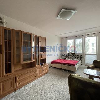 Prodej bytu 2+1 65 m² České Budějovice, Kostelní