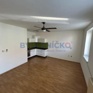 Prodej bytu 1+kk, garsoniery 24 m² České Budějovice