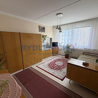 Prodej bytu 1+1 31 m&sup2; České Budějovice