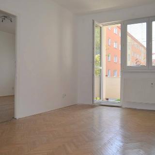 Pronájem bytu 3+1 87 m² Litovel, Novosady