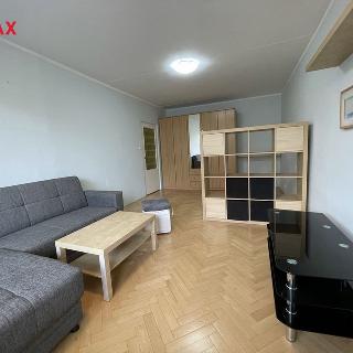 Pronájem bytu 1+1 46 m² Olomouc, Pionýrská