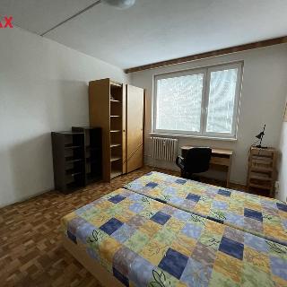 Pronájem pokoje 14 m² Olomouc, Heyrovského